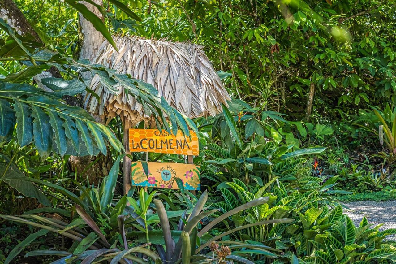 Villa Casa La Colmena à Cahuita Extérieur photo